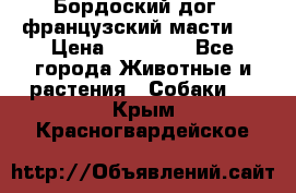 Бордоский дог ( французский масти)  › Цена ­ 50 000 - Все города Животные и растения » Собаки   . Крым,Красногвардейское